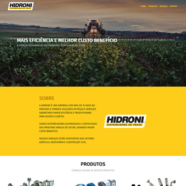 Hidroni