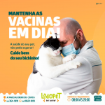Odontocompany